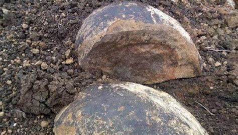Dinosaur Eggs: డైనోసర్ గుడ్లు దొరికాయా.. ఆ భారీ ఆకారాల అసలు కథ ఇది ...