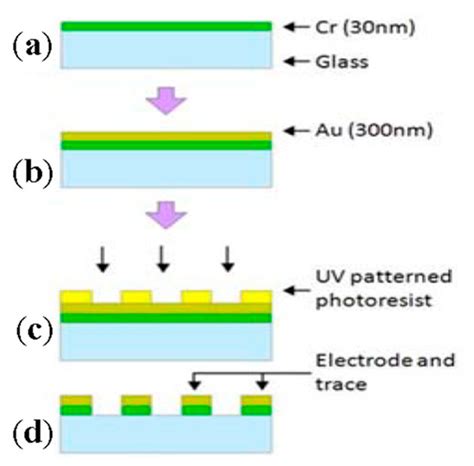 Recent Advances in Monitoring Cell Behavior Using Cell-Based Impedance ...
