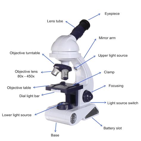 Image result for Science Microscope