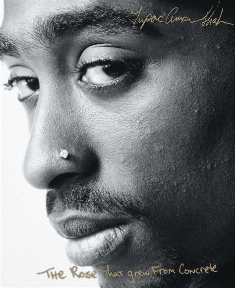 Tupac Poems Rose That Grew From Concrete
