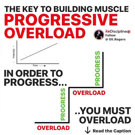 Image result for Progressive Overload Example