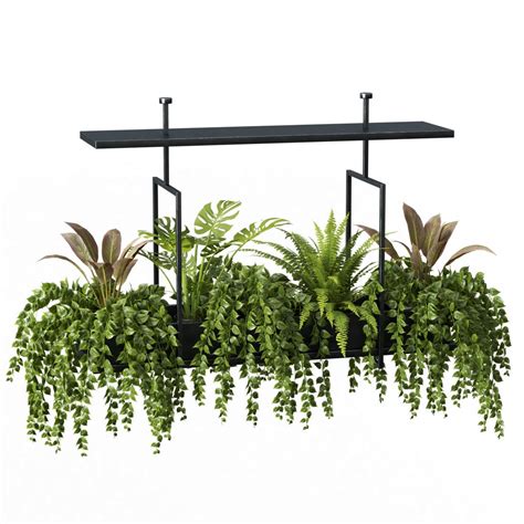 Indoor Plant Set 05-hanging Plants - 3D Model for VRay, Corona