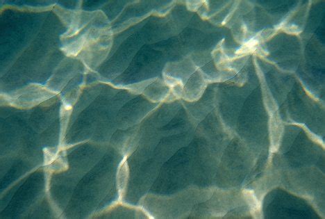 Reflection 的图像结果