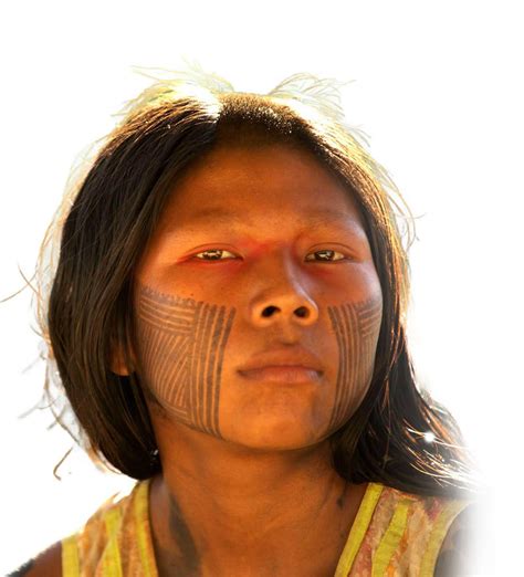 IFC Standard – SDG Infinite Carbon Forest Methodology