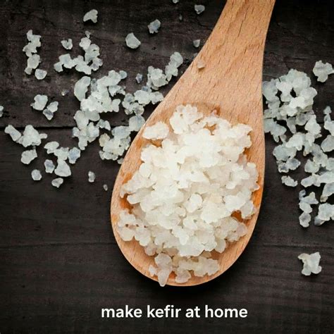 MILK KEFIR GRAINS – Divs India