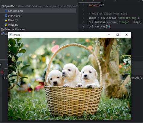 Writing an Image in OpenCV Python 的图像结果