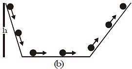 Newton's First Law of Motion - Science Class 9 PDF Download