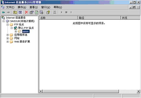 在Windows 2003下搭建FTP服务器－域名频道资讯dns110.com