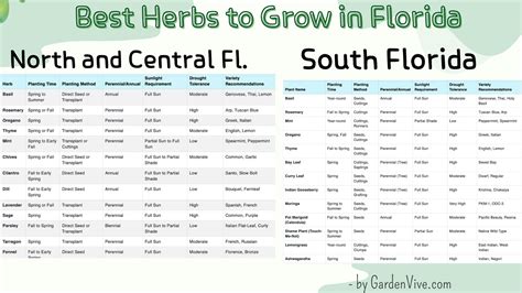 What Herbs Grow Best in Florida: Top Heat-Tolerant Picks for Your Garden