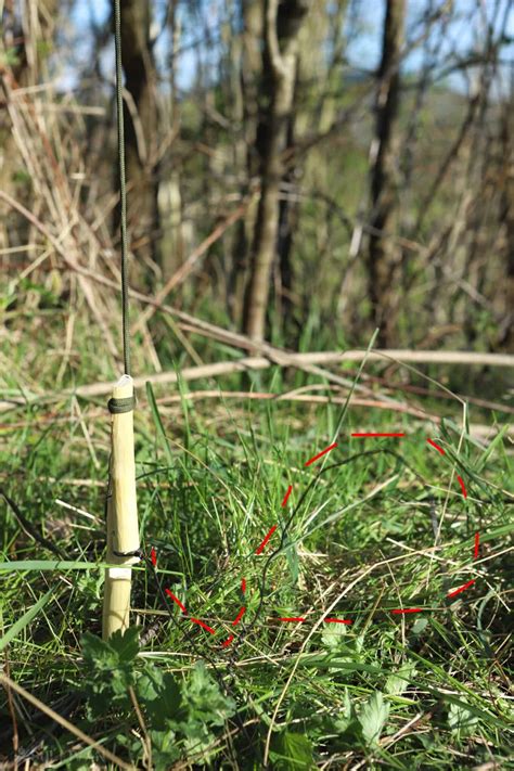 Spring Snare Trigger 的图像结果