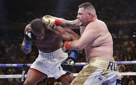 Image result for HBO Heavyweight Boxing