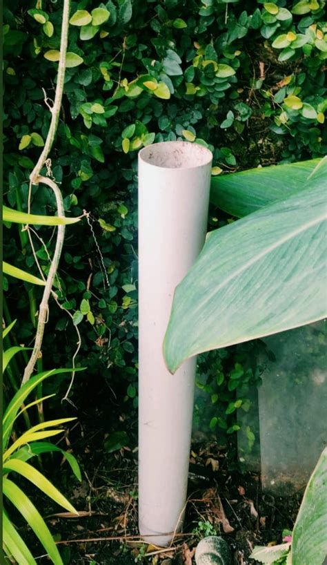 Image result for Directly Composting with PVC Pipes