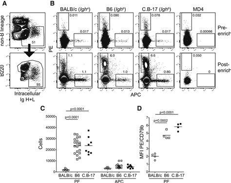 Naive B Cells with High-Avidity Germline-Encoded Antigen Receptors Produce Persistent IgM+ and ...