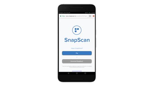 SnapScan Scanner 的图像结果