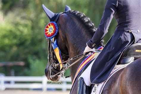 2024 U.S. Dressage Festival of Champions Set to Begin at HITS Chicago ...