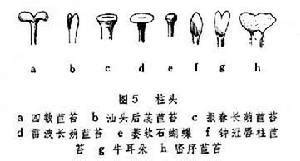 Image result for Character Code in Programming