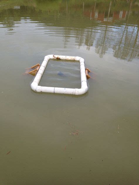 Image result for Building a Turtle Trap