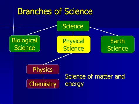 Branches of Science 的图像结果