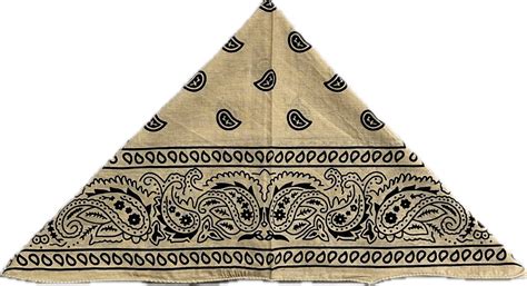Eco-Friendly Beige & Black Paisley Bandana | Unisex Organic Cotton Sca ...