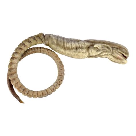 Image result for Alien vs Predator Chestburster