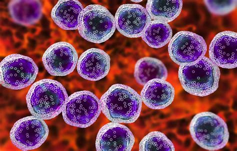 Ibrutinib with Chemoimmunotherapy Improved Progression-Free Survival of ...