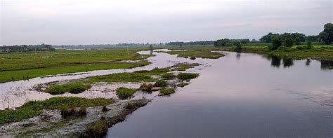 Bihar State Wetland Authority