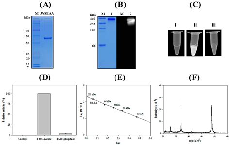Molecular Characterization of a Novel Family VIII Esterase with β ...