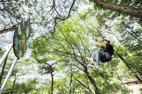 Everland and Yongin Zipline Day Trip from Seoul - Klook India
