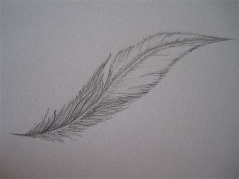 Wanna Draw A Feather? · How To Draw A Feather Drawing · Drawing on Cut ...