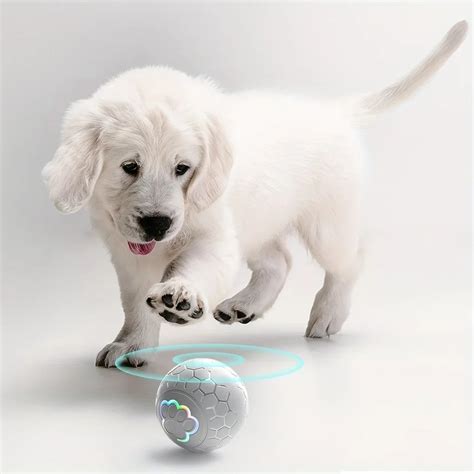Ultimate Bounce & Chew Dog Ball – Built for Play, Loved by Dogs