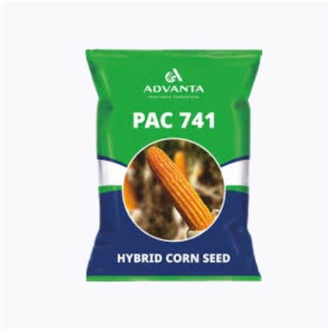 Buy Advanta PAC 741 Hybrid Corn Seeds – High Shelling, Wilt Tolerant ...
