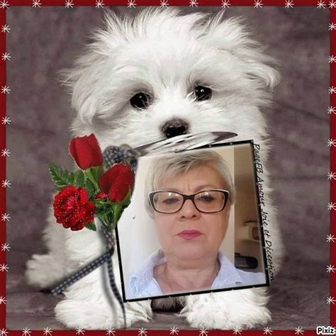 cadre rose | Photo frame, Frame, Photomontage