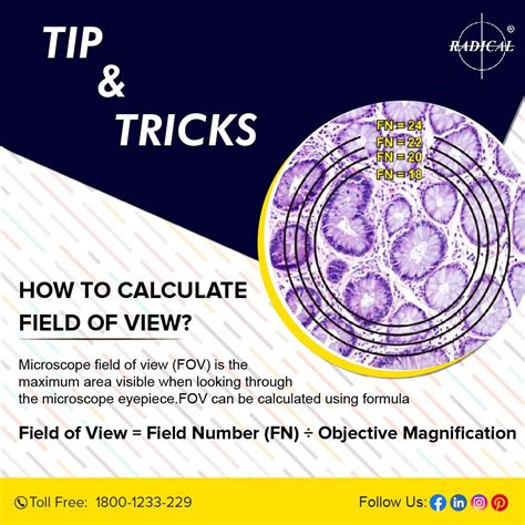 Radical India - Microscopes, Scientific Microscopy Cameras & Image ...