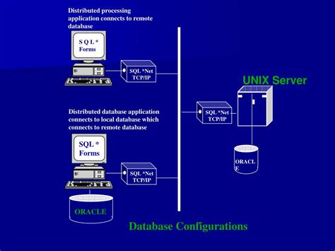Image result for Client and Server Computing with SQL and API