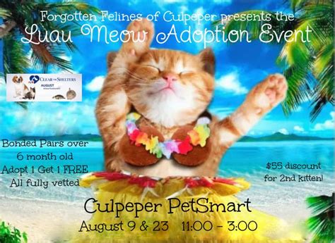 Forgotten Felines of Culpeper Luau Meow Adoption Event, PetSmart ...