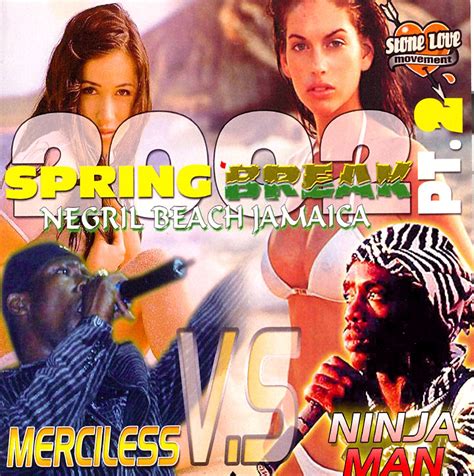 Image result for Endless Spring Break Vol. 2