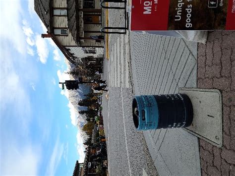 White Mountain Adventures (Banff) - 2022 What to Know Before You Go ...