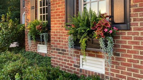 Window Boxes For Cottages Galvanised Steel Window Boxes Harrod