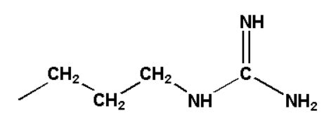 Protein - Functions, Classification, Importance, Sources, Amino Acids ...