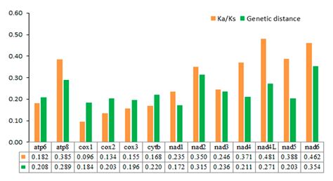 Characterization of the Complete Mitochondrial Genomes from Two ...