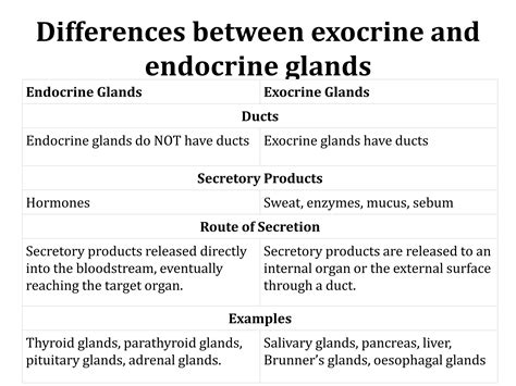 Exocrine gland and endocrine gland | PPTX