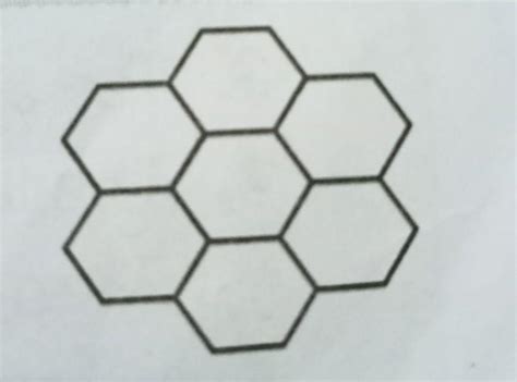 the given figure is a part of a beehive consisting of regular hexagons ...