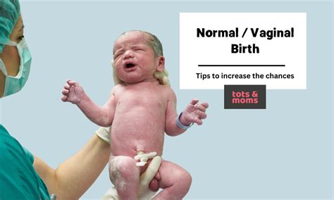 Image result for Normal Delivering