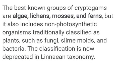 What are cryptogams? Give any three examples. - Brainly.in