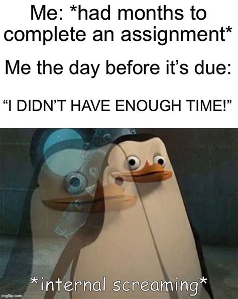 Image result for Assignment Complete Meme