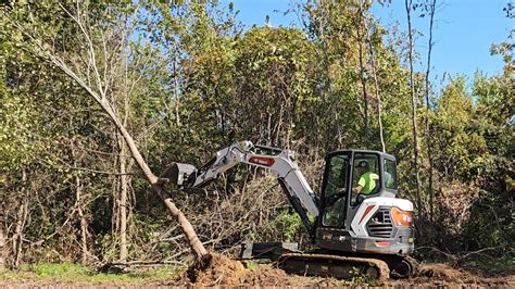Using a Mini to Clear Property 的图像结果