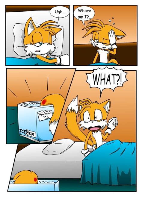 We can't call him tails anymore :T | Sonic funny, Funny gif, Sonic fan ...