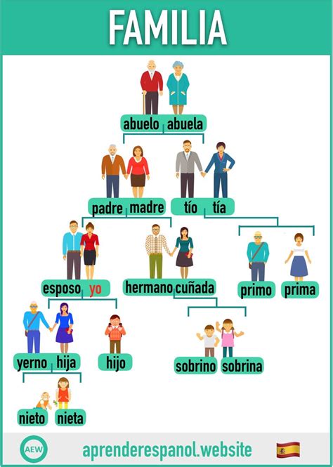 La familia en español | Tarjetas de vocabulario en español, Aprender ...