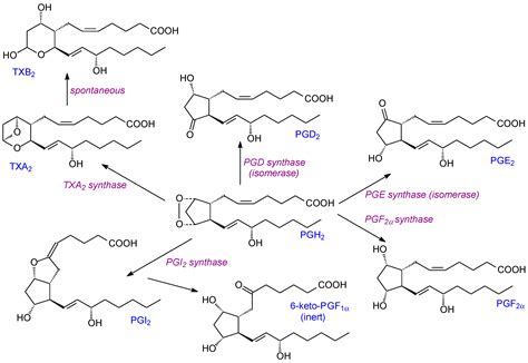 Polyunsaturated Fatty Acids: Conversion to Lipid Mediators, Roles in ...