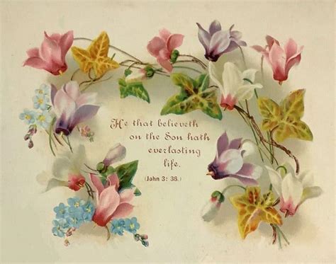 Image result for Beautiful Roses with Scripture